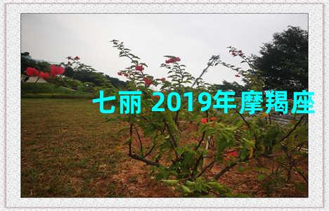 七丽 2019年摩羯座